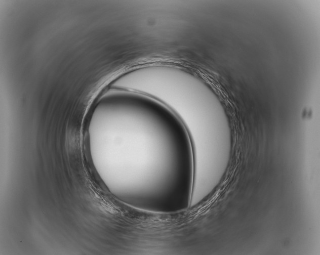 X0000089760148200706211002