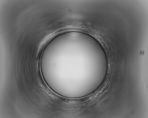 X0000089760149200706211002