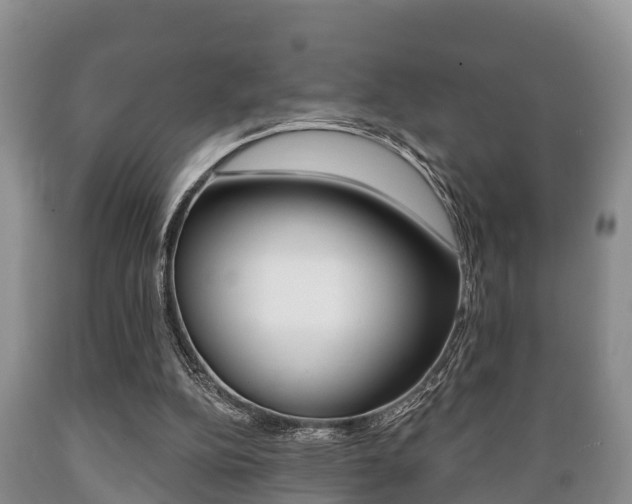 X0000089760152200706211002