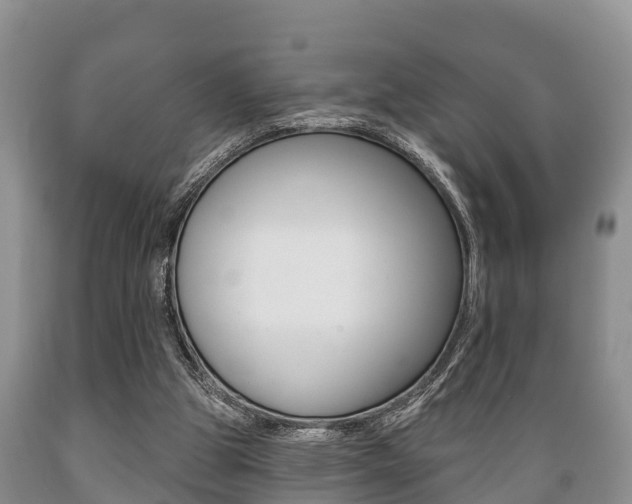X0000089760153200706211002