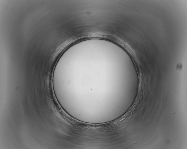X0000089760155200706211002
