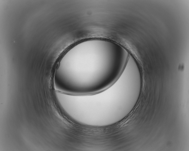 X0000089760156200706211002