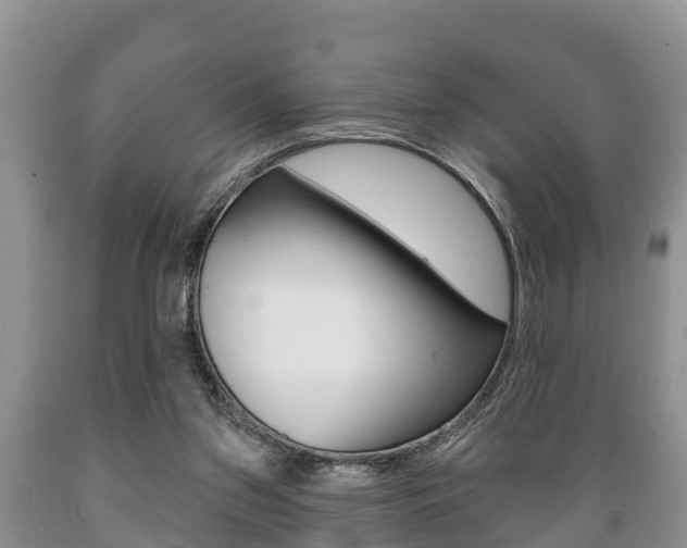 X0000089760157200706211002