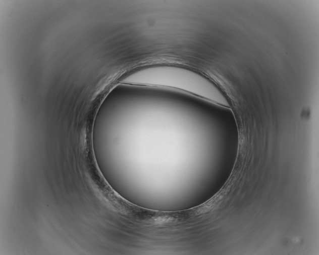 X0000089760158200706211002