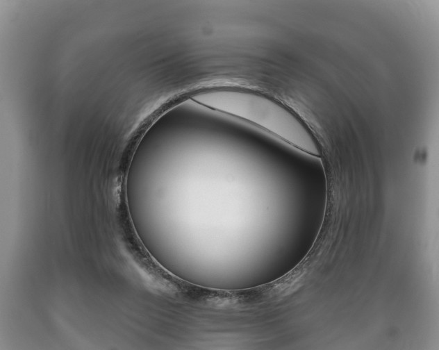 X0000089760160200706211002