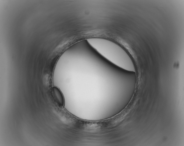 X0000089760161200706211002