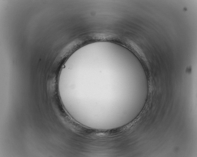 X0000089760163200706211003