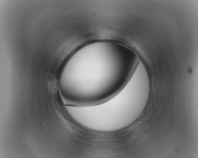 X0000089760164200706211003