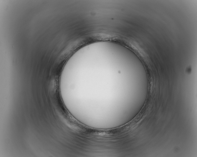 X0000089760165200706211003
