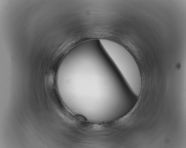 X0000089760166200706211003