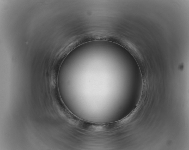 X0000089760170200706211003