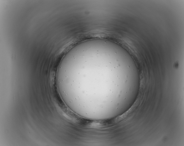 X0000089760171200706211003