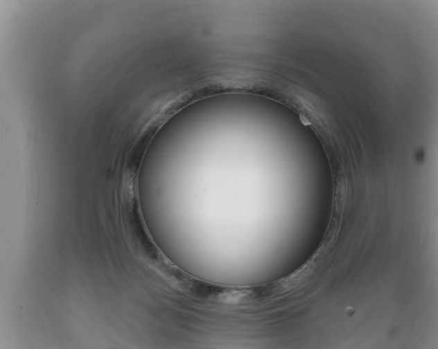X0000089760172200706211003