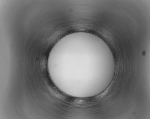 X0000089760174200706211003