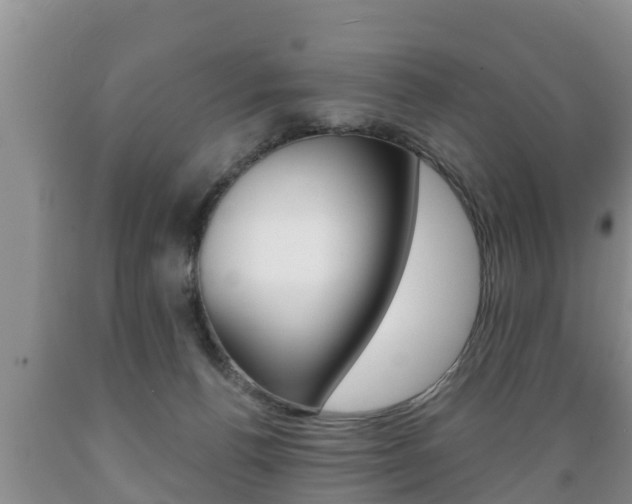 X0000089760176200706211003