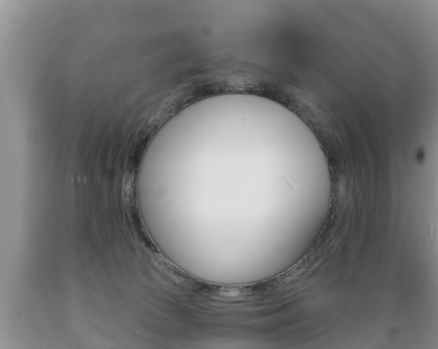 X0000089760177200706211003