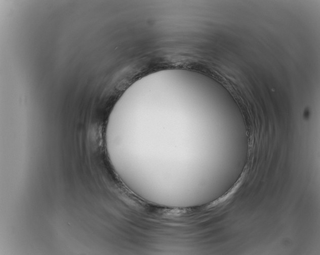 X0000089760182200706211003