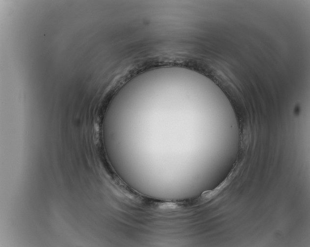 X0000089760183200706211003