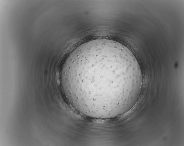 X0000089760187200706211003