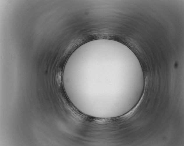 X0000089760190200706211003