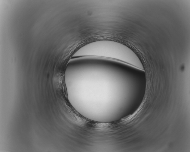 X0000089760192200706211003