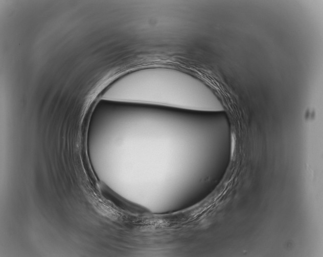 X0000089760195200706211002