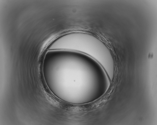 X0000089760197200706211002