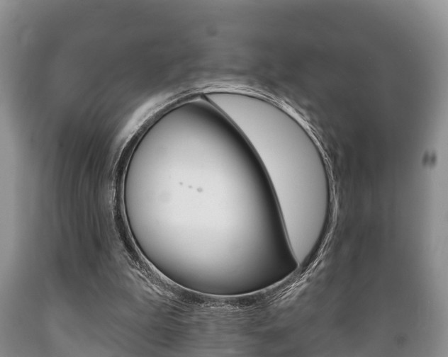 X0000089760199200706211002