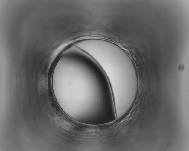X0000089760200200706211002