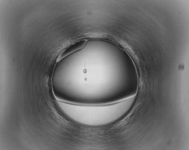 X0000089760201200706211002