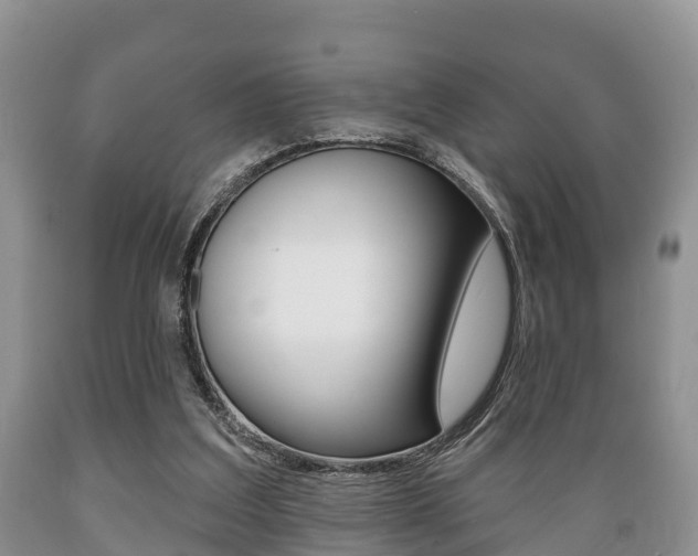 X0000089760203200706211002