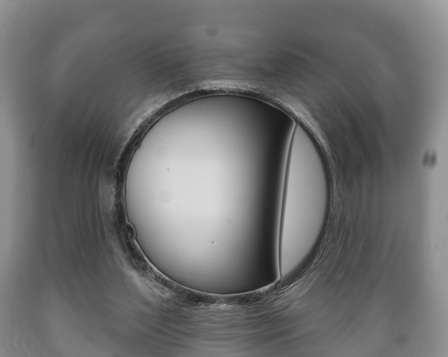 X0000089760204200706211002