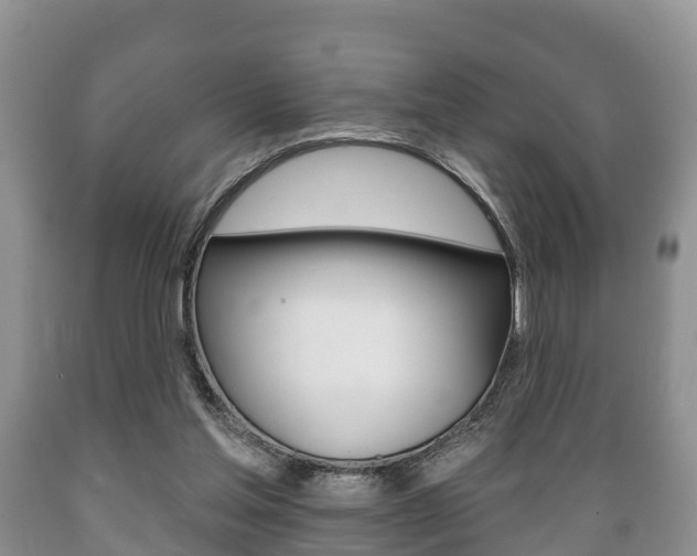 X0000089760205200706211002