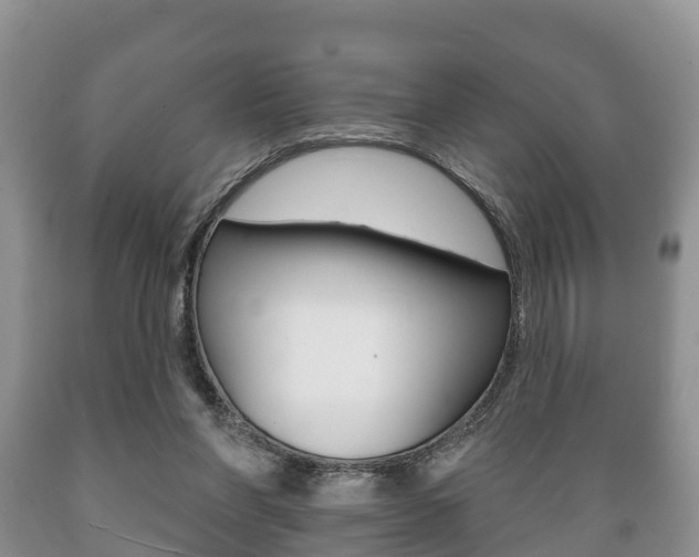 X0000089760206200706211002