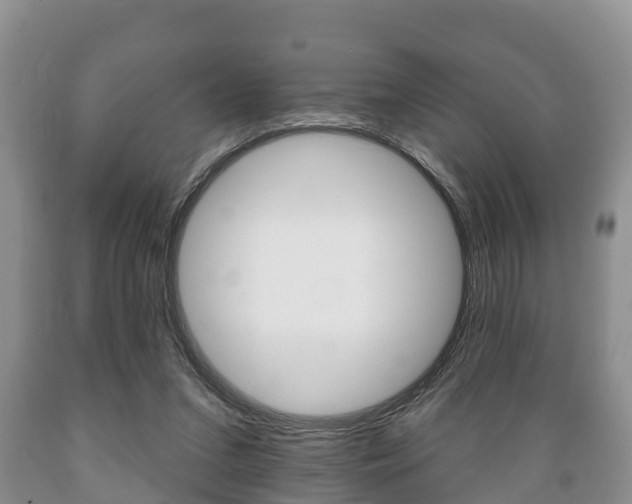 X0000089760207200706211002