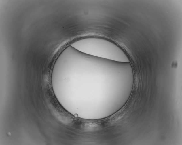 X0000089760208200706211002