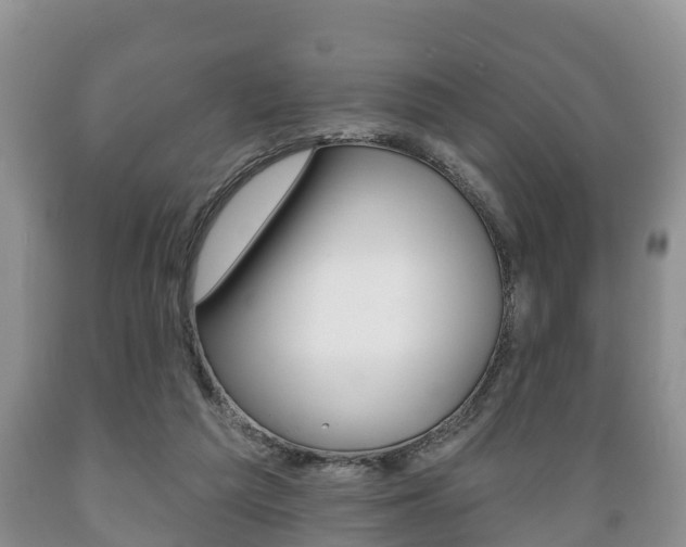 X0000089760209200706211002