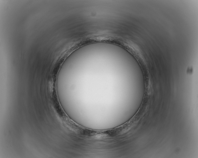 X0000089760210200706211002