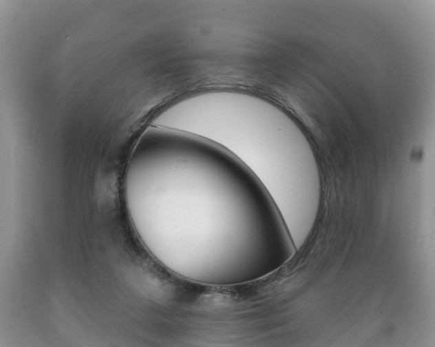 X0000089760211200706211002