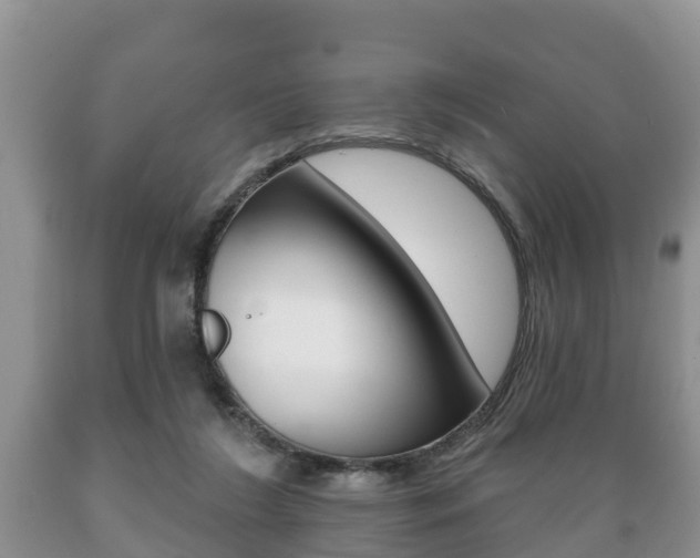 X0000089760212200706211002