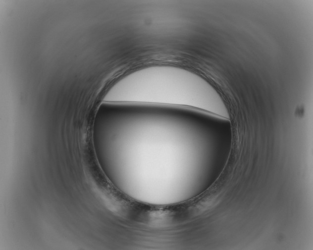 X0000089760216200706211002