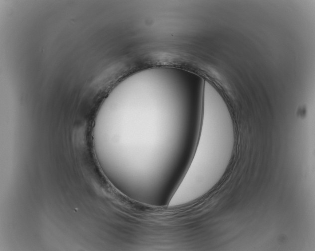 X0000089760217200706211002