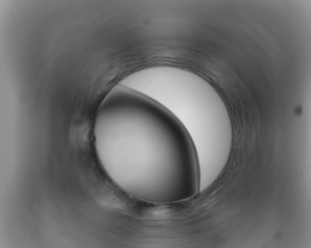 X0000089760219200706211002
