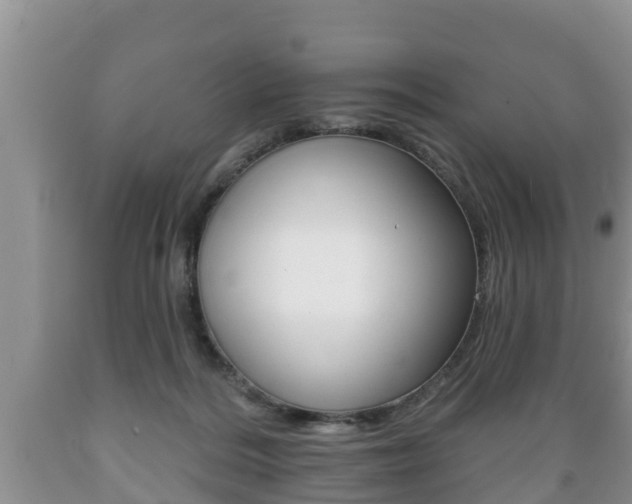 X0000089760220200706211002