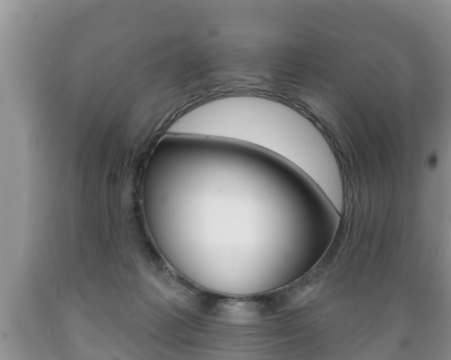 X0000089760221200706211002