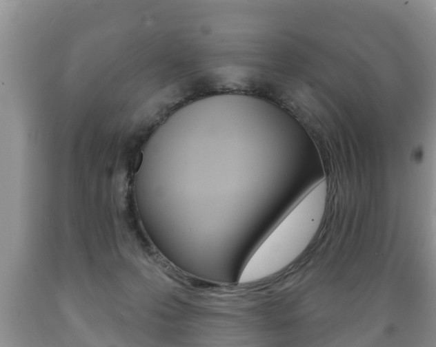 X0000089760223200706211002