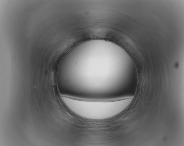 X0000089760224200706211002