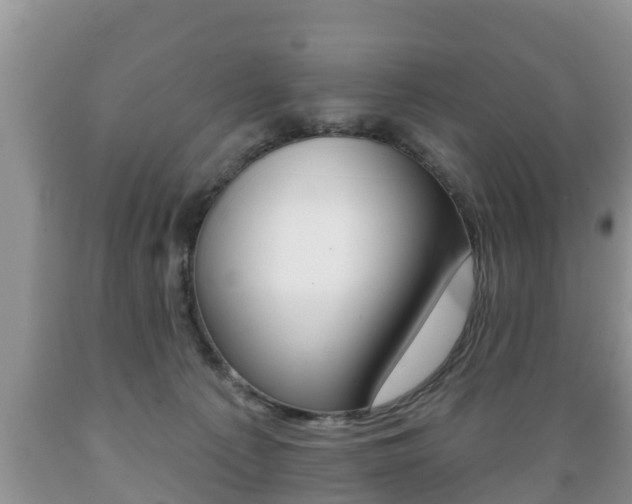 X0000089760225200706211002