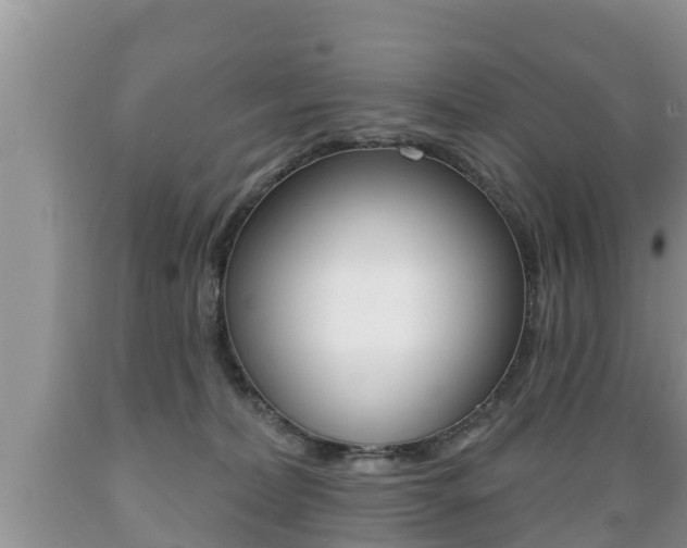 X0000089760228200706211002