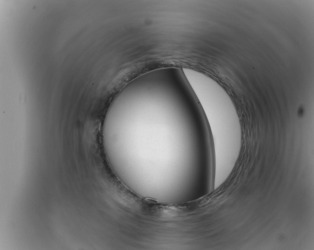 X0000089760229200706211002